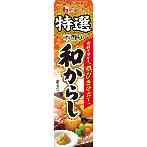 ハウス食品　特選本香り和からし　42g　10×12個　合計120個 k-relight-10011564 Re-light パッケージ画像