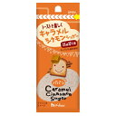 ハウス食品　パパン　キャラメルシナモンシュガー詰め替え用　24g　10×12個　合計120個