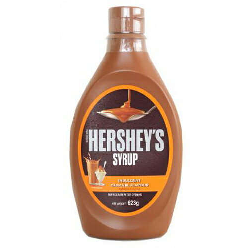 日本珈琲貿易　ハーシー　キャラメルシロップ　623g×12個