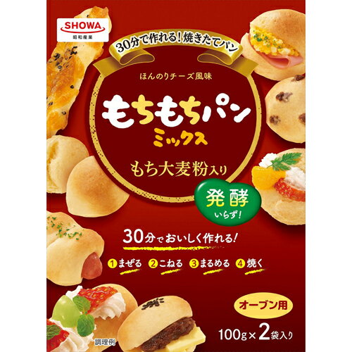 昭和産業　もちもちパンミックス　(100g×2)×24個