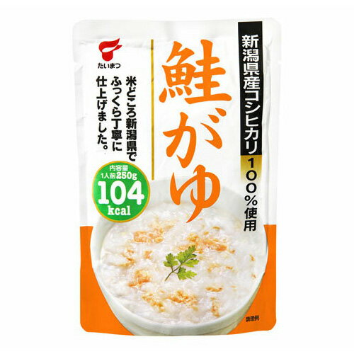 たいまつ食品　鮭がゆ　250g×40袋