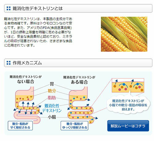 大塚製薬　賢者の食卓　ダブルサポート　レギュラーBOX　6g×30包　10箱　脂肪　血糖値　特定保健用食品 3