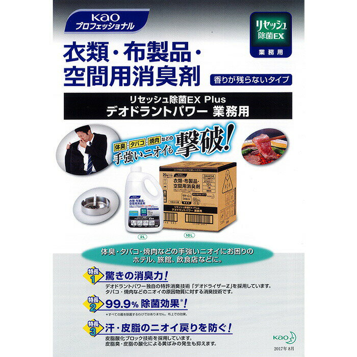 花王リセッシュ除菌EX Plus デオドラントパワー　香り残らないタイプ　10L【沖縄・離島は要別途送料120サイズ】