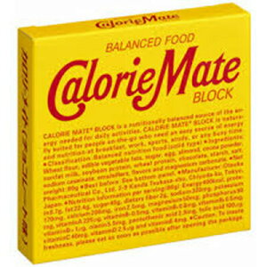大塚製薬　カロリーメイト　ブロック　チョコ味　4本入り×30箱　（120本）
