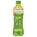 【2ケース】伊藤園　2つの働きカテキン緑茶　500ml×48本　特定保健用食品