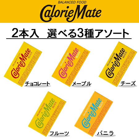 大塚製薬　カロリーメイト　ブロッ