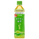 【2ケース】伊藤園　2つの働きカテキン緑茶　500ml×48