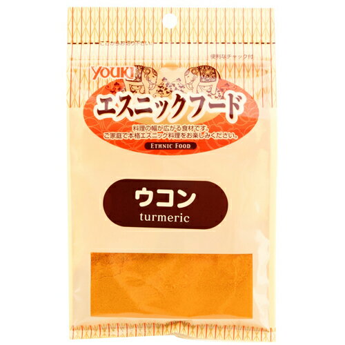 YOUKI（ユウキ食品）　エスニック ウコン　18g×30個