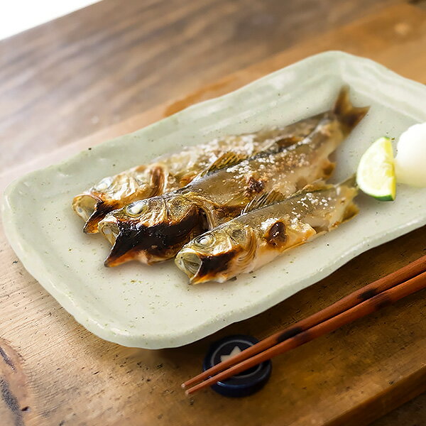 【7/4 20時～10％OFFクーポン】粉引 長角 焼き物皿 21.3cm アウトレット 日本製 美濃焼 陶器 和食器 焼物皿 刺身皿 魚皿 長皿 角皿 四角皿 中皿 多用皿 プレート スクエアプレート ディナープレート 焼き魚 削ぎ そぎ おしゃれ モダン 訳ありのサムネイル