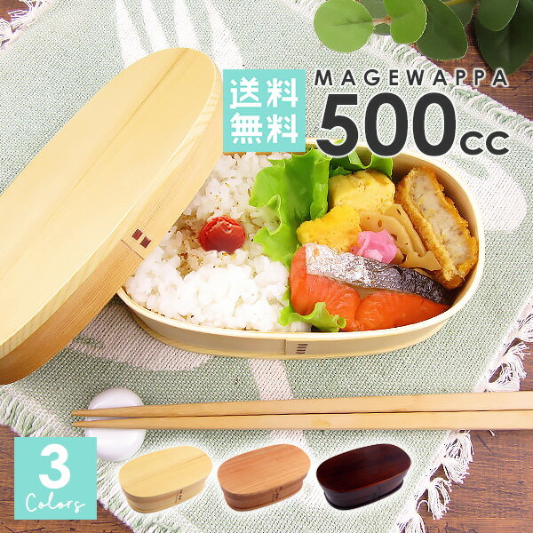 【送料無料】 曲げわっぱ 小判(中)弁当 500cc ウレタン塗装 ランチボックス 弁当箱 小判型 木 天然木 インスタ映え インスタグラム 和風 おしゃれ メンズ レディース 子供 運動会 バンド付き 茶色 小さめ 木製 曲げわっぱ 弁当箱 オシャレ 選べる3色 白木 赤身 本漆のサムネイル