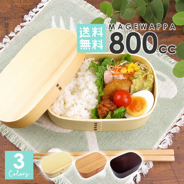 【送料無料】 曲げわっぱ 胴張弁当 800cc ウレタン塗装 ランチボックス 弁当箱 四角 スクエア 小判型 天然木 インスタ映え インスタグラム 和風 おしゃれ 男性 メンズ レディース 子供 運動会 バンド付 小さめ 木製 曲げわっぱ 弁当箱 オシャレ 選べる3色 白木 赤身 本漆