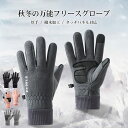 【送料無料】手袋 レディース 手ぶくろ 秋冬 裏起毛 フリース メンズ 男女兼用 厚手 暖かい 保温性 防水 撥水加工 防風 スマホ タッチパネル対応 滑り止め...