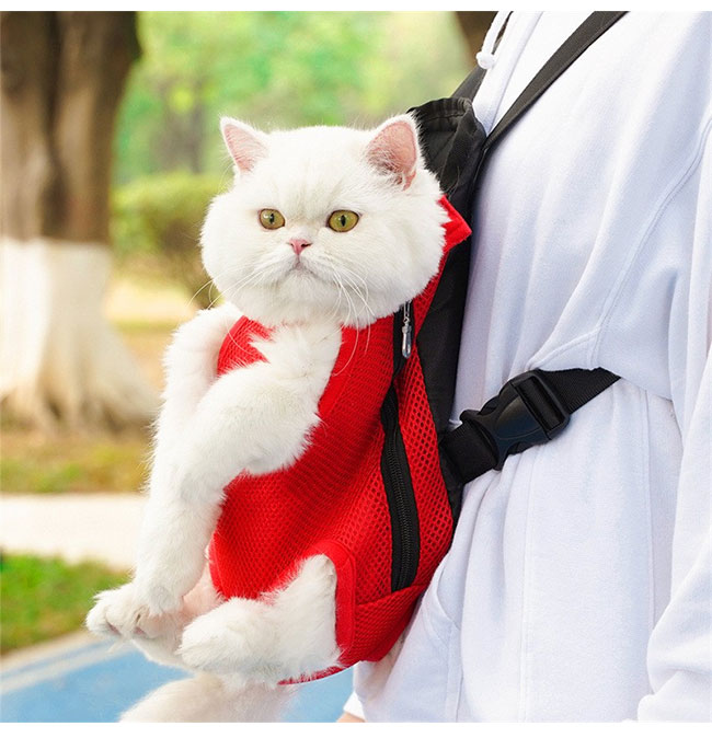 【送料無料】ペット抱っこ紐 スリング おんぶ 猫 犬用 いぬ ねこ 2WAY アウトドア 小型犬 ペットバッグ 携帯便利 着脱簡単 両手解放 メッシュ 通気性 軽量 コンパクト 多機能 散歩 お出かけ 電車 旅行 防災 避難 通院 大きいサイズ カラバリ豊富 k-s-one-10000054 KSONE サンプル画像3