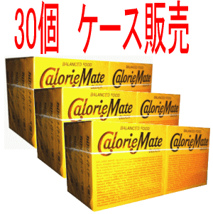 ケース販売 送料無料 30個セット 大塚製薬 カロリーメイト ブロック チーズ味 4本入×30個セット 軽減税率対象商品