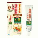 小林製薬生葉口内塗薬 20g 【第3類医薬品】
