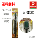 送料無料 30本セット AJD デンタルプロ 歯科医がすすめるワイドヘッドハブラシ ふつう×30本 高機能歯ブラシ ※色はお選びいただけません