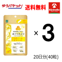 ゆうパケットで送料無料 3個セット 楽美健快 めぐりさぷり リポソームビタミンC 40粒(20日分)×3個 軽減税率対象商品 栄養機能食品 楽美健快 めぐりさぷり