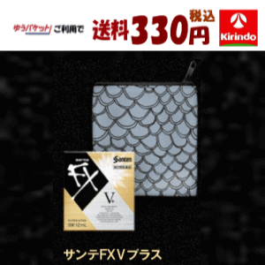 ゆうパケットで送料330円 数量限定 サカナクション×サンテFX【第2類医薬品】 参天製薬 サンテFX Vプラス 12mL×1個 オリジナルポーチ付きセルフメディケーション税制対象商品