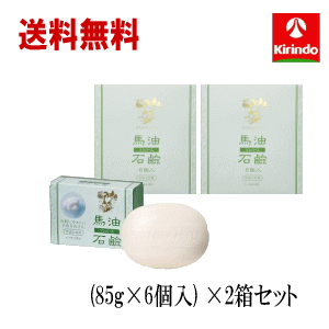 送料無料 2個セット 薬師堂 ソンバーユ 馬油石鹸 （85g×6個入り）ヒノキの香り ×2箱セット 
