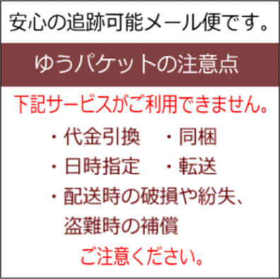 ポイント20倍 4/30(木)23:59まで ...の紹介画像2