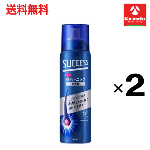 大決算セール開催 送料無料 2本セット 花王 サクセス 薬用育毛トニック 無香料 280g ×2本【医薬部外品..