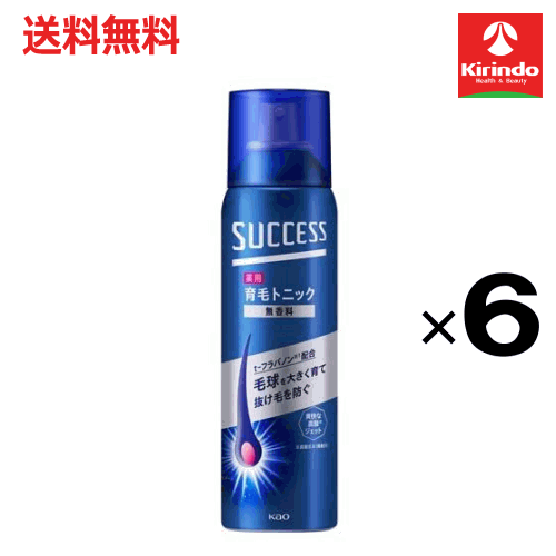 大決算セール開催 送料無料 6本セット 花王 サクセス 薬用育毛トニック 無香料 280g ×6本【医薬部外品】トニック 男性用 育毛 育毛剤 抜け毛 ふけ かゆみ