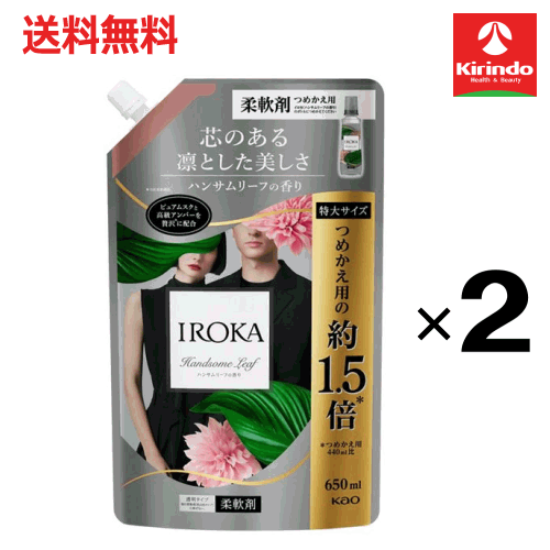 ��軻�����볫�� �ں߸˸¤������̵�� 2�ĥ��å� �ֲ� IROKA ����� �ϥ󥵥�꡼�դι��ͤ��ؤ� 650mL��2�ĥ��å� ������ ����� ������ �ϥ�...