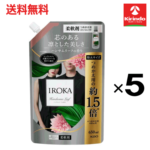 ��軻�����볫�� �ں߸˸¤������̵�� 5�ĥ��å� �ֲ� IROKA ����� ������ ����� �ϥ󥵥�꡼�դι�� �ͤ��ؤ� ���ѥ��� 650mL��5�� ������...