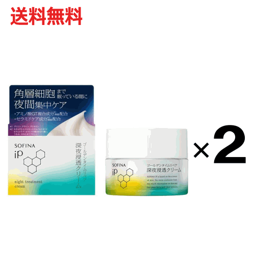ポイント10倍 2/28(土)23:59まで 送料無料 2個セット 花王 ソフィーナIP ゴールデンタイムリペア 深夜浸透クリーム レフィル×2個セット sof...