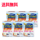 6個セット 送料無料 2021年4月新発売 小林製薬 イージーファイバー 乳酸菌プレミアム 30本入×6個セット 乳酸菌と食物繊維で腸内環境改善