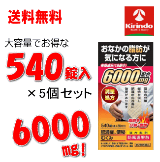 決算SALE 送料無料 5個セット第2類医薬品北日本製薬 防風通聖散エキス6000 540錠入 30日分×5個セット満量処方 肥満 むくみ 便秘満量処方 6000mg ★セルフメディケーション税制対象商品のサムネイル
