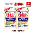 70周年創業祭III ゆうパケットで送料無料 2個セット 小林製薬の栄養補助食品(サプリメント) サラシア100 20日分(60粒)× 2個セット 血糖値 特定...