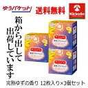 ゆうパケットで送料無料 3個セット めぐりズム 蒸気でホットアイマスク 完熟ゆずの香り 12枚入×3箱セット めぐリズム