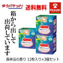 ゆうパケットで送料無料 3個セット めぐりズム 蒸気でホットアイマスク 森林浴の香り 12枚入×3箱セット めぐリズム(4)