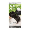 花王 リーゼ 泡カラー 髪色もどし ナチュラルブラック 115mL×1個 カラーリング黒髪用