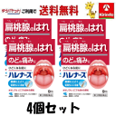ゆうパケットで送料無料 4個セット【第3類医薬品】小林製薬 ハレナース 9包×4個セット 扁桃腺のはれ・痛みに 咽頭炎 口内炎
