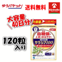 GWセール! ゆうパケットで送料無料 大容量40日分 小林製薬の栄養補助食品(サプリメント) サラシア100 120粒(40日分) ×1個 特定保健用食品 軽減...