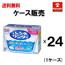 ケース販売 送料無料 24個セット花王 マジックリン ふろ水ワンダー 翌日も風呂水キレイ 20錠入り×24個(3)