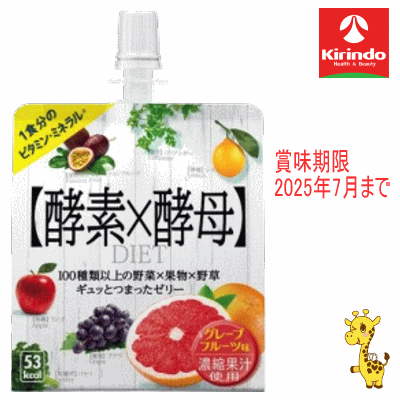 【アウトレット 在庫限り 賞味期限