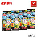 70周年創業祭 送料無料 4個セット 小林製薬 冷凍庫用 熱さまシート ストロング 大人用 12枚入×4個 急な発熱 冷却シート 強力