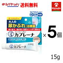 70周年創業祭 ゆうパケットで送料無料 5個セット【第2類医薬品】ロート製薬 メンソレータム カブレーナ 15g ×5個【尿かぶれ治療薬】 ★セルフメディケーシ...