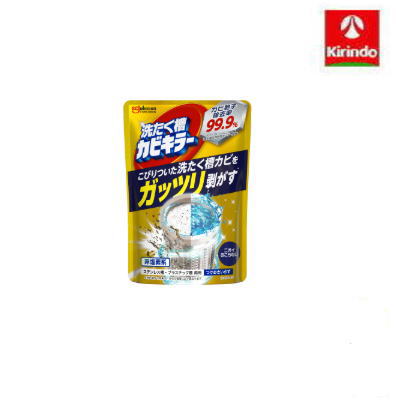 ジョンソン ガッツリ剥がす 洗たく槽カビキラー（非塩素系）250g