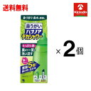 送料無料 2個セット 小林製薬 ハナノアデカシャワータイプ 洗浄器具+専用原液 10包×2個セット【一般医療機器】鼻うがい 鼻洗浄