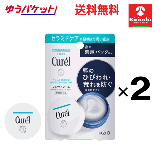 ポイント20倍 2/28(土)23:59まで ゆうパケットで送料無料 2本セット 花王 キュレル リップケア バーム 4.2g【医薬部外品】×2本セット