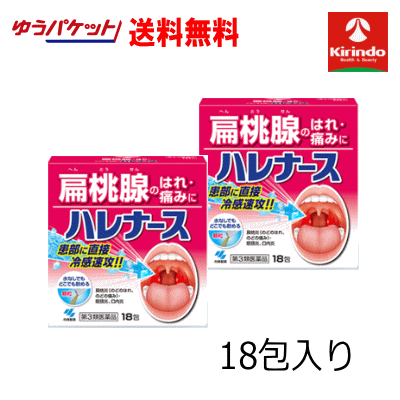夏本番！サマーセール 在庫のみ 送料無料 2個セット【第3類医薬品】小林製薬 ハレ...