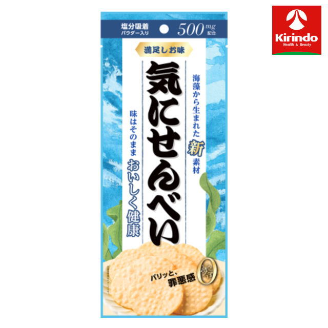 酒田米菓 オランダせんべい 気にせんべい 40g×1個 塩分オフセット 軽減税率対象商品