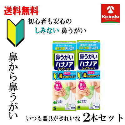 大決算セール 送料無料 2本セット 小林製薬 ハナノアb シャワータイプ 500mL×2個【一般医療機器】鼻う..