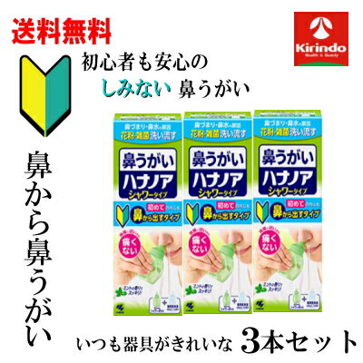 大決算セール 送料無料 3本セット 小林製薬 ハナノアb シャワータイプ 500mL×3個【一般医療機器】鼻う..