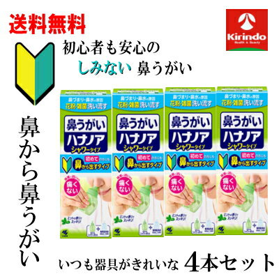 大決算セール 送料無料 4本セット 小林製薬 ハナノアb シャワータイプ 500mL×4個【一般医療機器】鼻う..