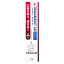 ゼリア新薬工業 マスデント20 110g 【医薬部外品】(4)